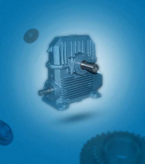 Standard Worm Gearbox